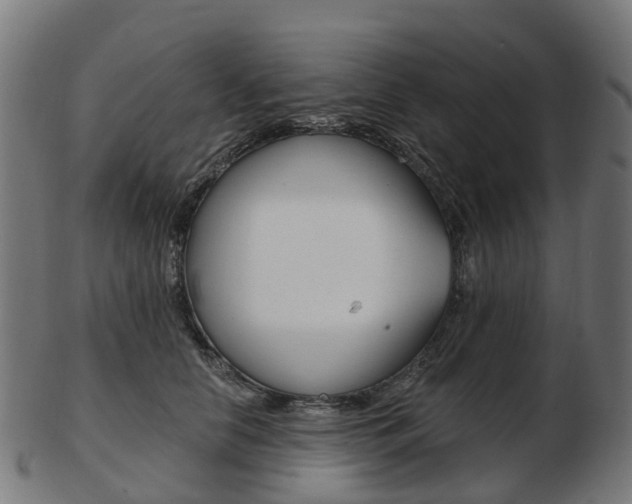 X0000103490658200809120951