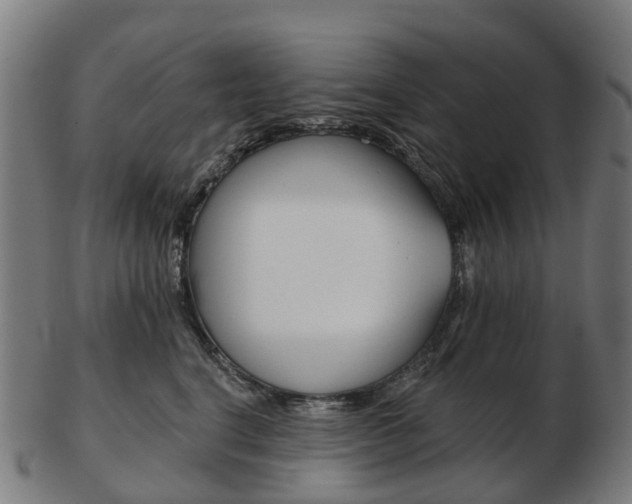 X0000103490664200809120951