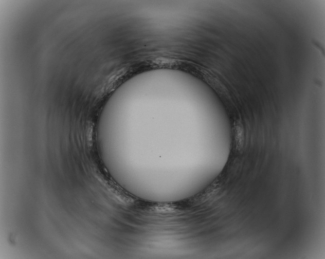 X0000103490668200809120951