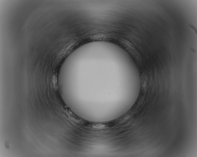X0000103490669200809120951
