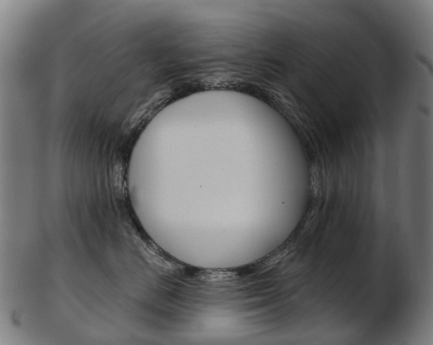 X0000103490670200809120951