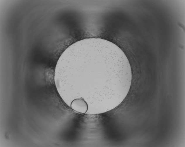 X0000103490672200809120951