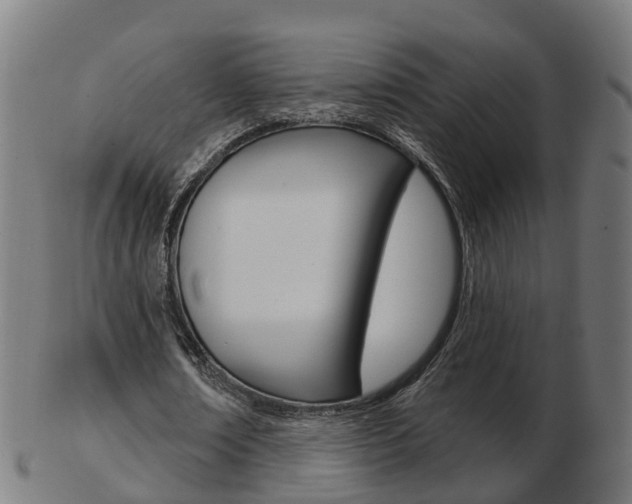 X0000103490674200809120951
