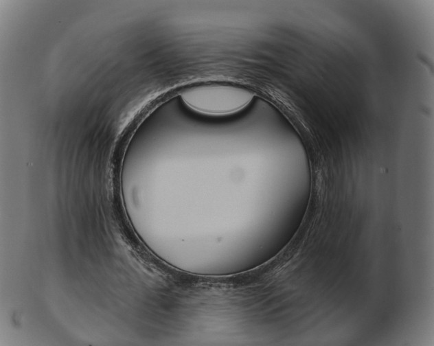 X0000103490676200809120951
