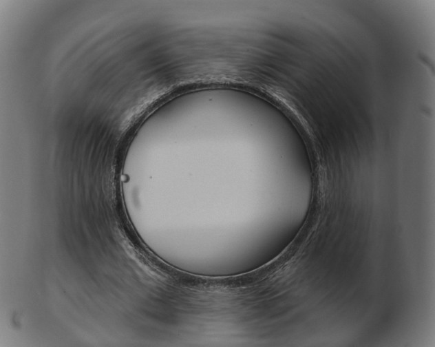 X0000103490677200809120951