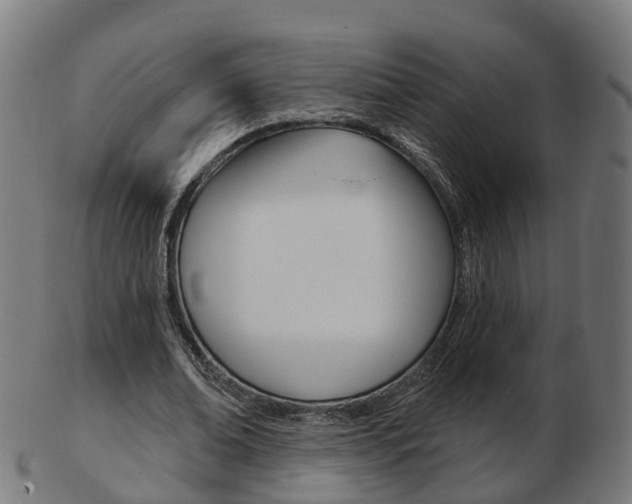 X0000103490678200809120951