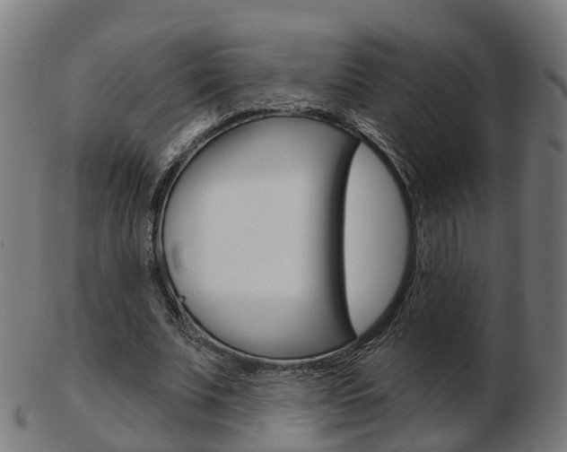 X0000103490679200809120951