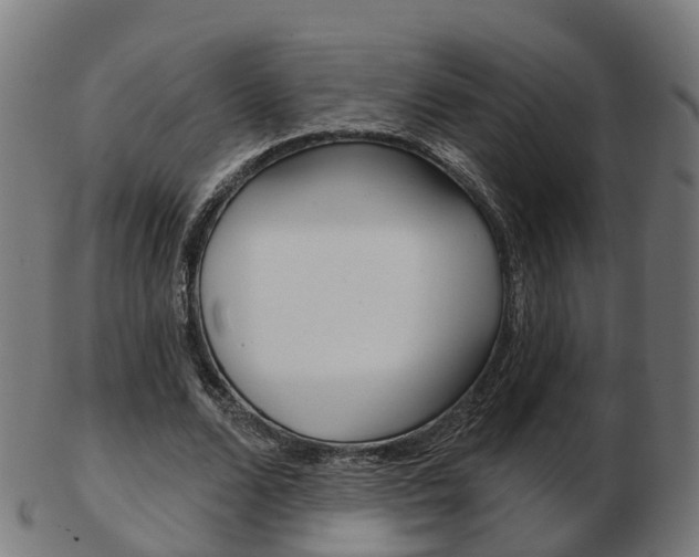 X0000103490680200809120951
