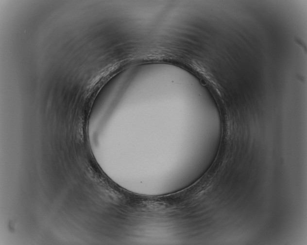 X0000103490681200809120951