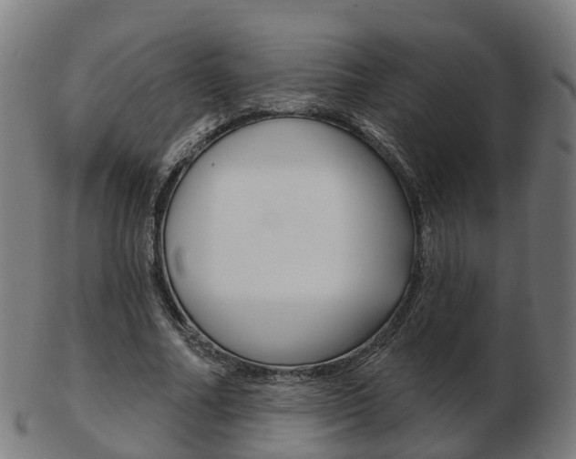 X0000103490682200809120951