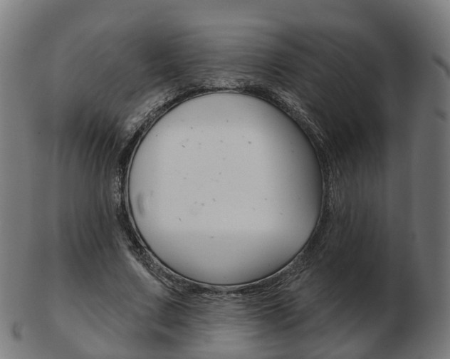 X0000103490683200809120951