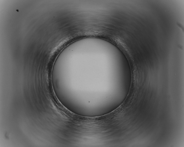 X0000103490684200809120951