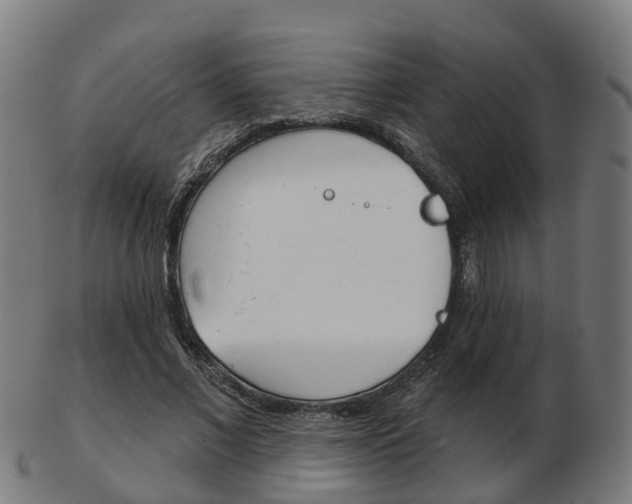 X0000103490685200809120951