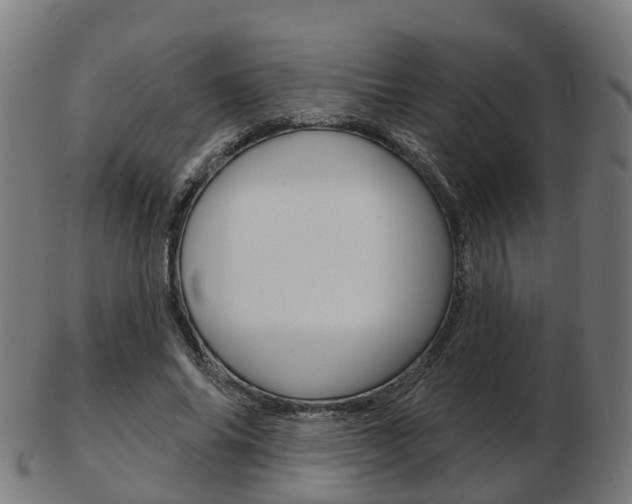 X0000103490686200809120951