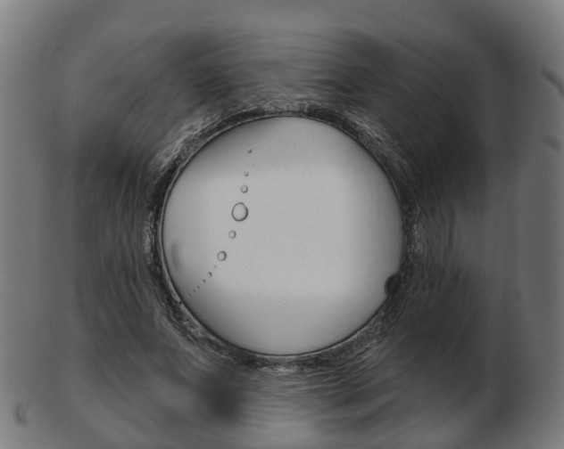 X0000103490687200809120951