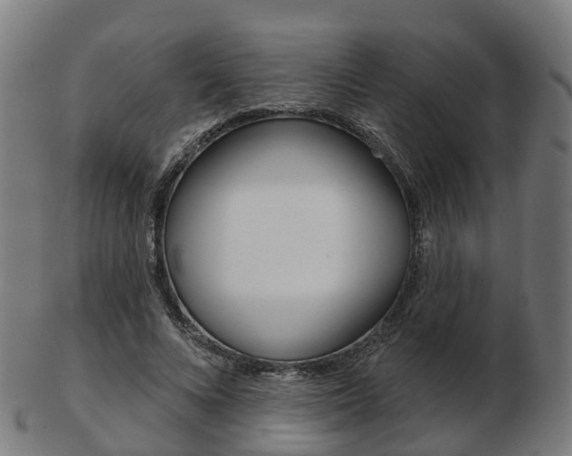 X0000103490688200809120950