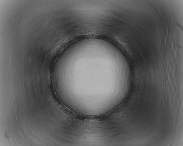 X0000103490689200809120950