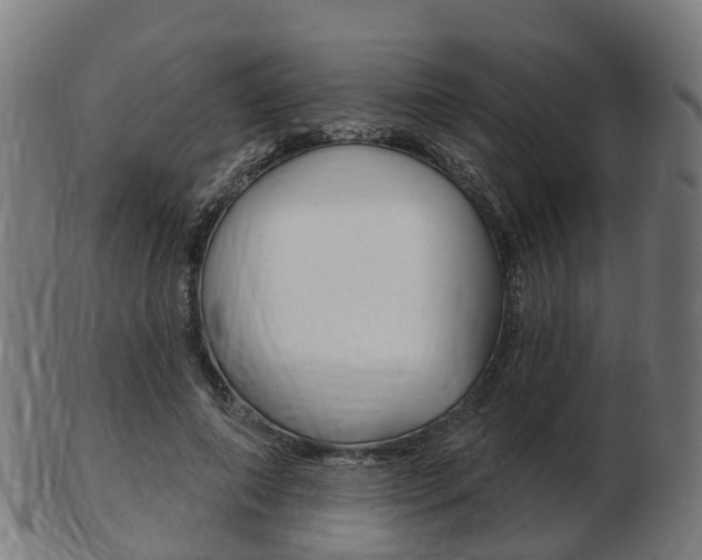 X0000103490690200809120950