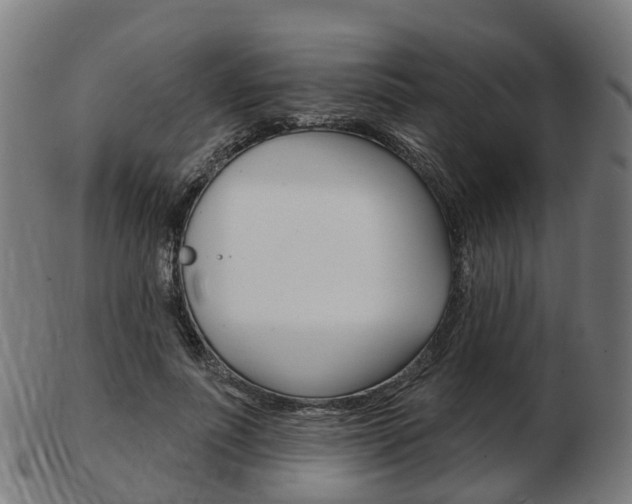 X0000103490691200809120950
