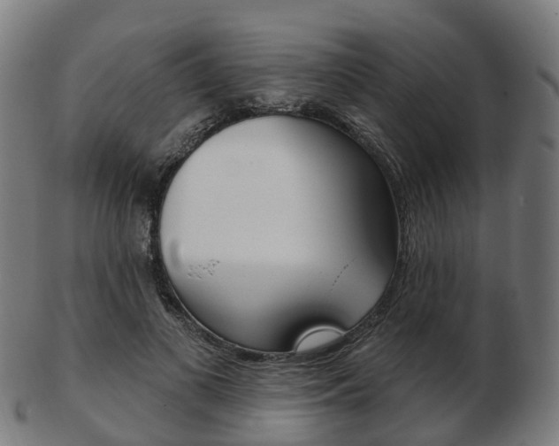 X0000103490693200809120950