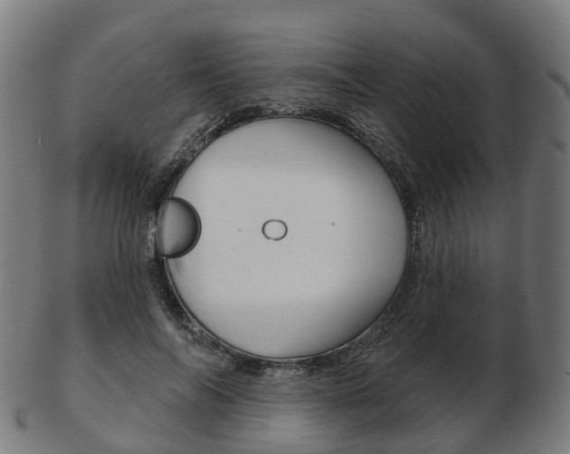 X0000103490694200809120950