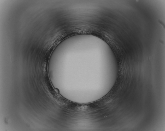 X0000103490695200809120950