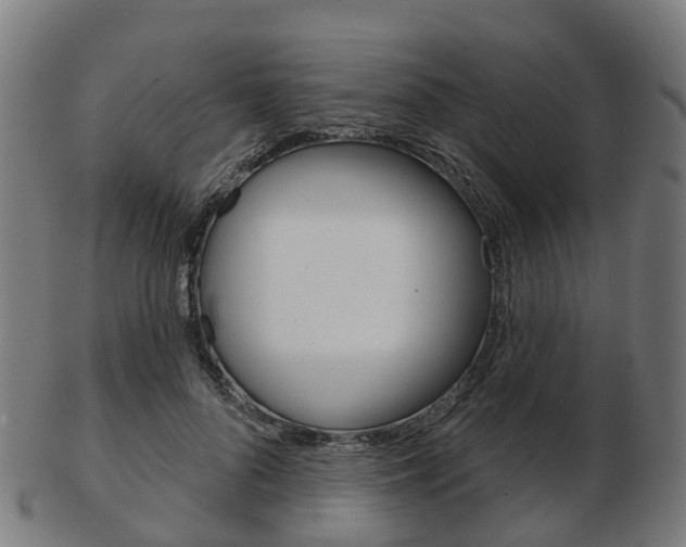 X0000103490696200809120950