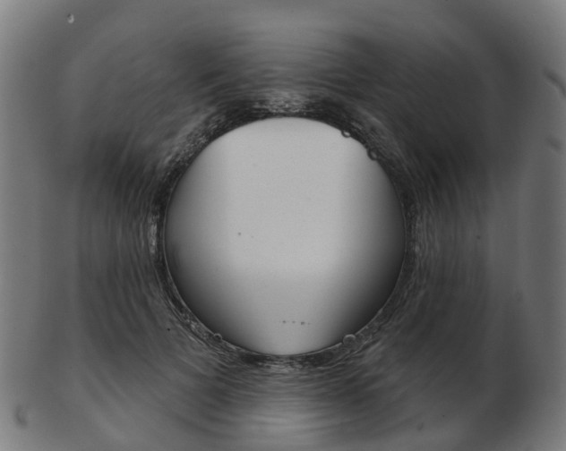 X0000103490697200809120950