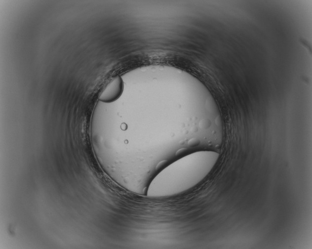 X0000103490698200809120950