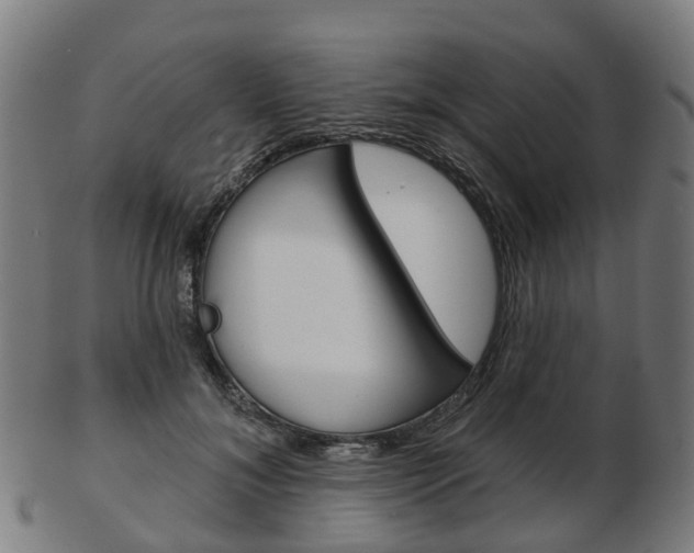 X0000103490700200809120950