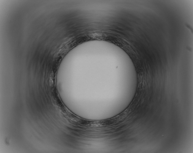 X0000103490702200809120950