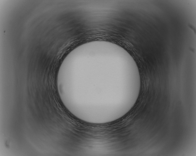 X0000103490705200809120950