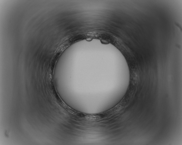 X0000103490707200809120950