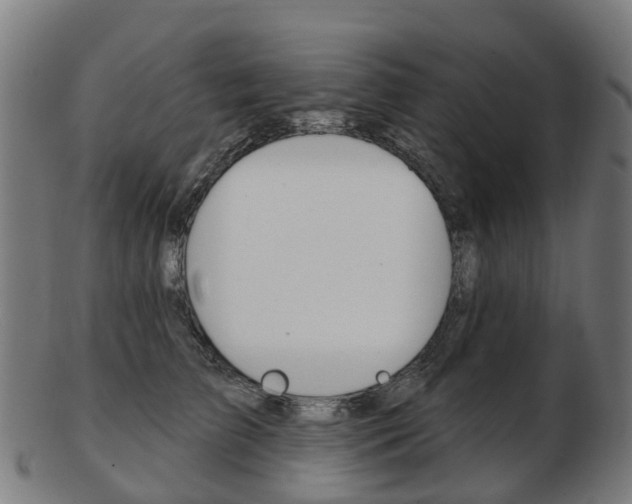 X0000103490709200809120950
