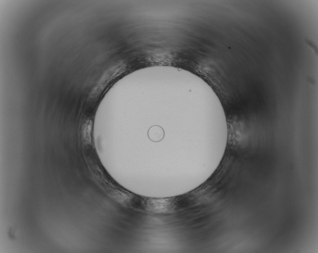 X0000103490717200809120950