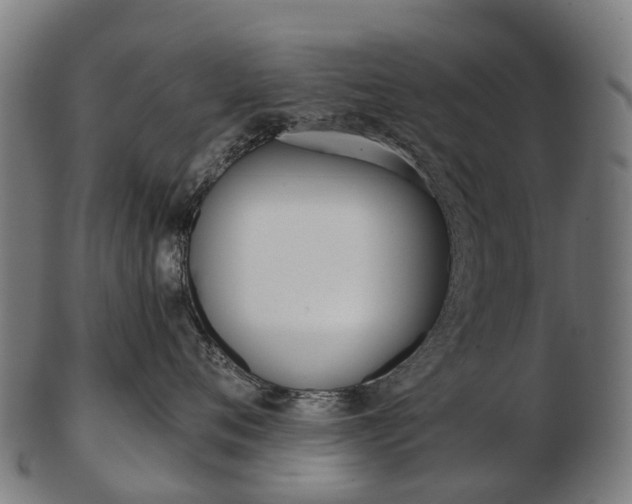 X0000103490720200809120950