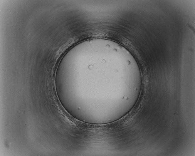 X0000103490721200809120949