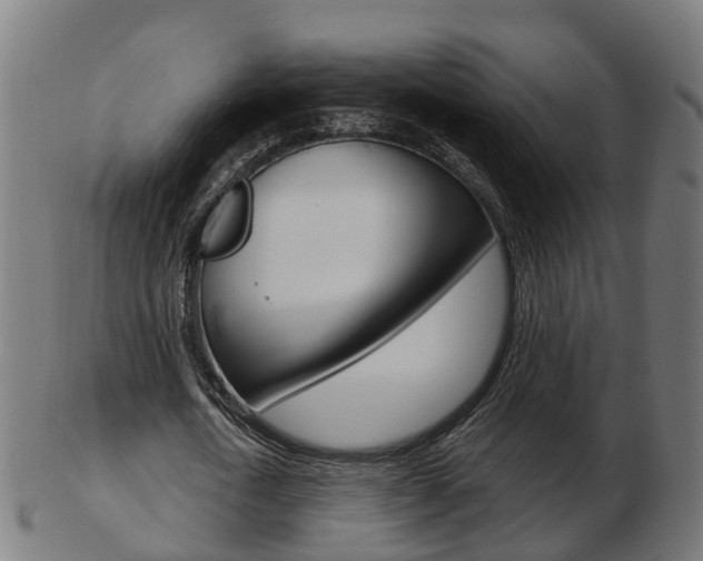 X0000103490722200809120949