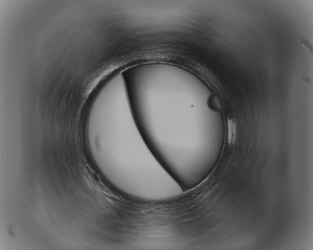 X0000103490723200809120949