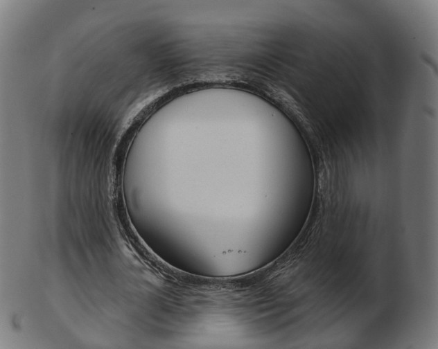 X0000103490724200809120949