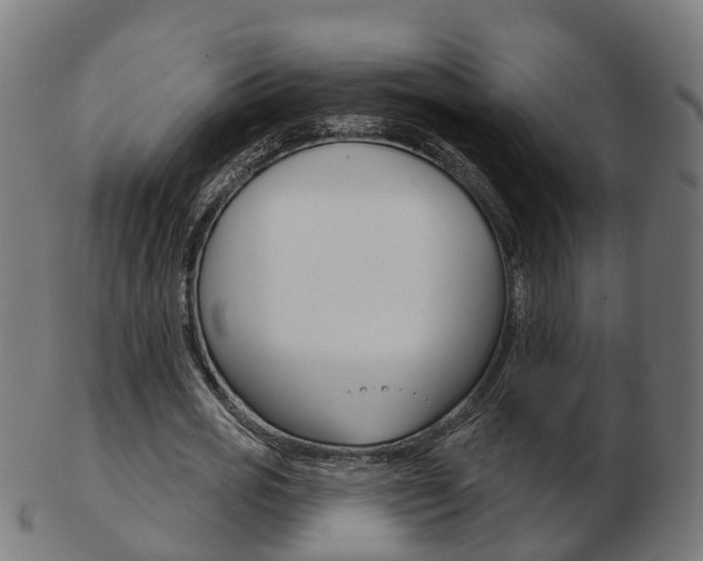 X0000103490725200809120949