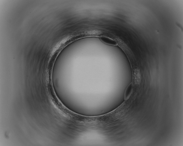 X0000103490726200809120949