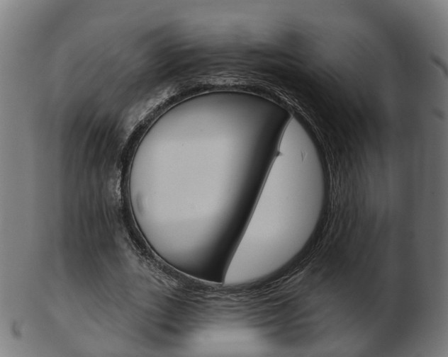 X0000103490727200809120949