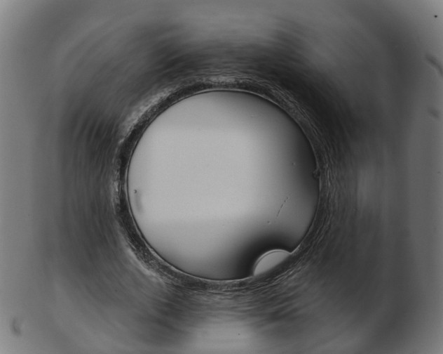 X0000103490728200809120949