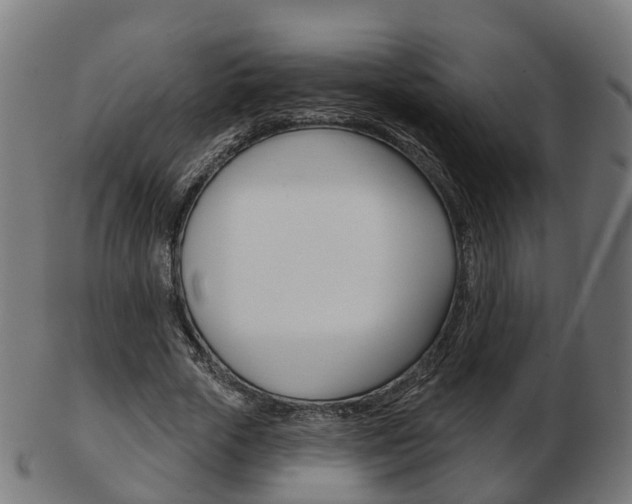 X0000103490729200809120949