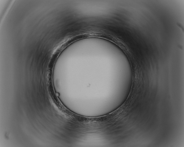 X0000103490730200809120950