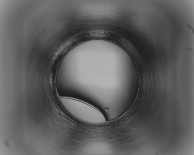 X0000103490731200809120950