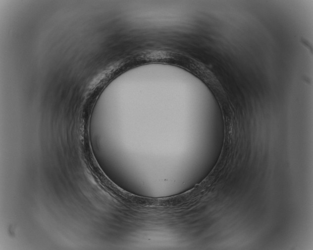 X0000103490732200809120950