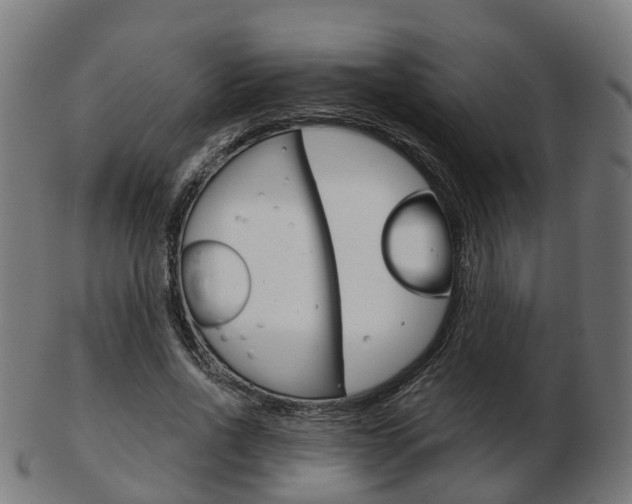 X0000103490734200809120950