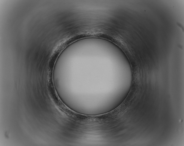 X0000103490736200809120950